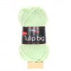 Tulip big světle mentolová 4158