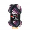 Tulip Color 5214