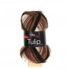 Tulip Color 5217