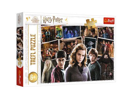 Puzzle Harry Potter 160 dílků - Harry Potter a přátelé, Trefl 15418