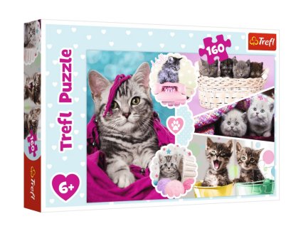 Puzzle 160 dílků Roztomilé koťátka Trefl 15371