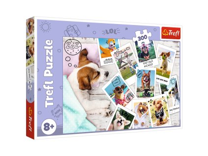 Puzzle - "300" - Fotografie z prázdnin / Trefl 23003