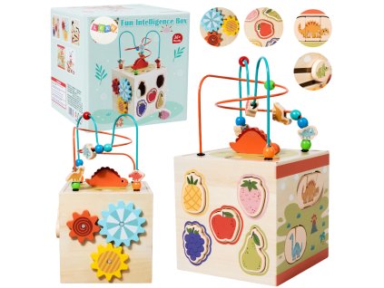 Dřevěná Vzdělávací Kostka Sensorická Sorter 5 Plošin