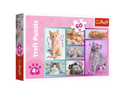 Puzzle - "60"- Roztomilá koťátka / Trefl 17373