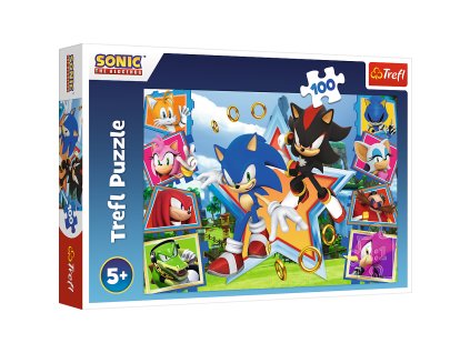 Puzzle - "100" - Poznej Sonica Trefl 16465