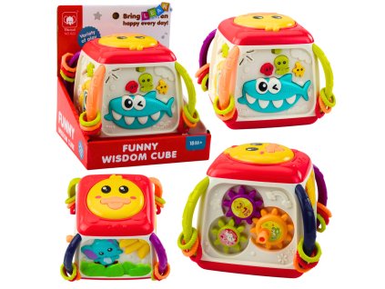 Interaktivní Vzdělávací Kostka pro Batolata Barevná Kachnička