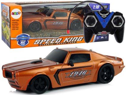 R/C Sportovní Auto 1:18 Hnědé - Šampion Pilot Pro Děti 6+