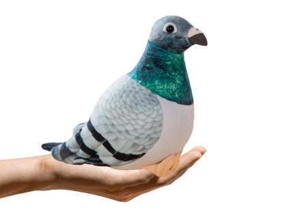 Šedá Plyšová Hračka Holub Grzywacz 20 cm