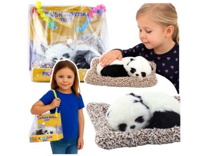 Spící Panda na Dekorativním Polštáři s Průhlednou Taškou