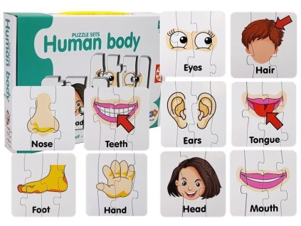 Vzdělávací Puzzle Anatomie Skládačka Tělo 10 Spojení Angličtina
