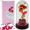Věčná Růže v Kupoli s LED Osvětlením, Srdcem a Korálky Červená 21x11cm