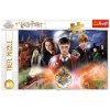 Skládanka Harry Potter 300 dílků - Tajemný Harry Potter 23001