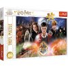 Skládanka Harry Potter 300 dílků - Tajemný Harry Potter 23001