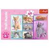 47229 5 puzzle 60 roztomila kotatka trefl 17373