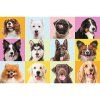 47217 3 puzzle 60 roztomili pejsci trefl 17374