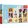 47217 2 puzzle 60 roztomili pejsci trefl 17374