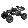 Velké Auto na Dálkové Ovládání v Měřítku 1:8, 2.4G, Černé