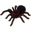 35844 1 dalkove ovladany pavouk tarantule cerny r c