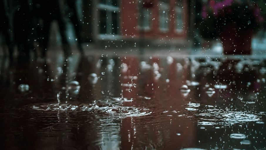 Déšť