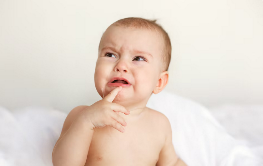 Jak vypadají potničky?