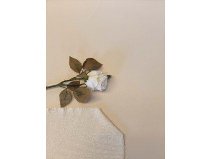 e03329d9 08b9 4128 9c84 82e4f8bb6957