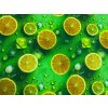 400 citrony plocha