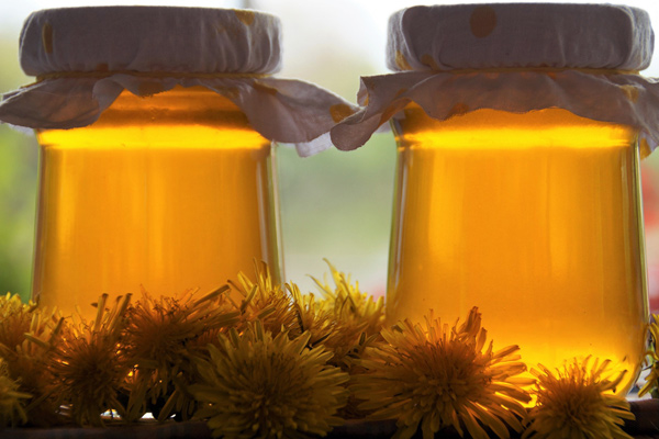 Pampeliškovo-meduňkový med