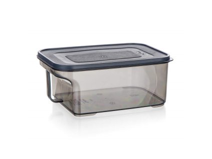 Plastová skladovací dóza s uchem Banquet Zoya 2,6 l