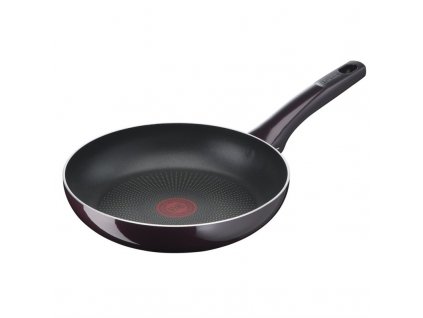 Pánev Tefal Resist Intense D5220483, 24 cm