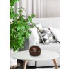 Zvlhčovač vzduchu Concept Perfect Air 2v1 Wood ZV1006 hnědý