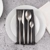 Sada jídelních příborů Orion Matt silver 24 dílů