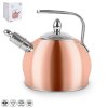 Čajník nerez/měď ERIKA 3 l