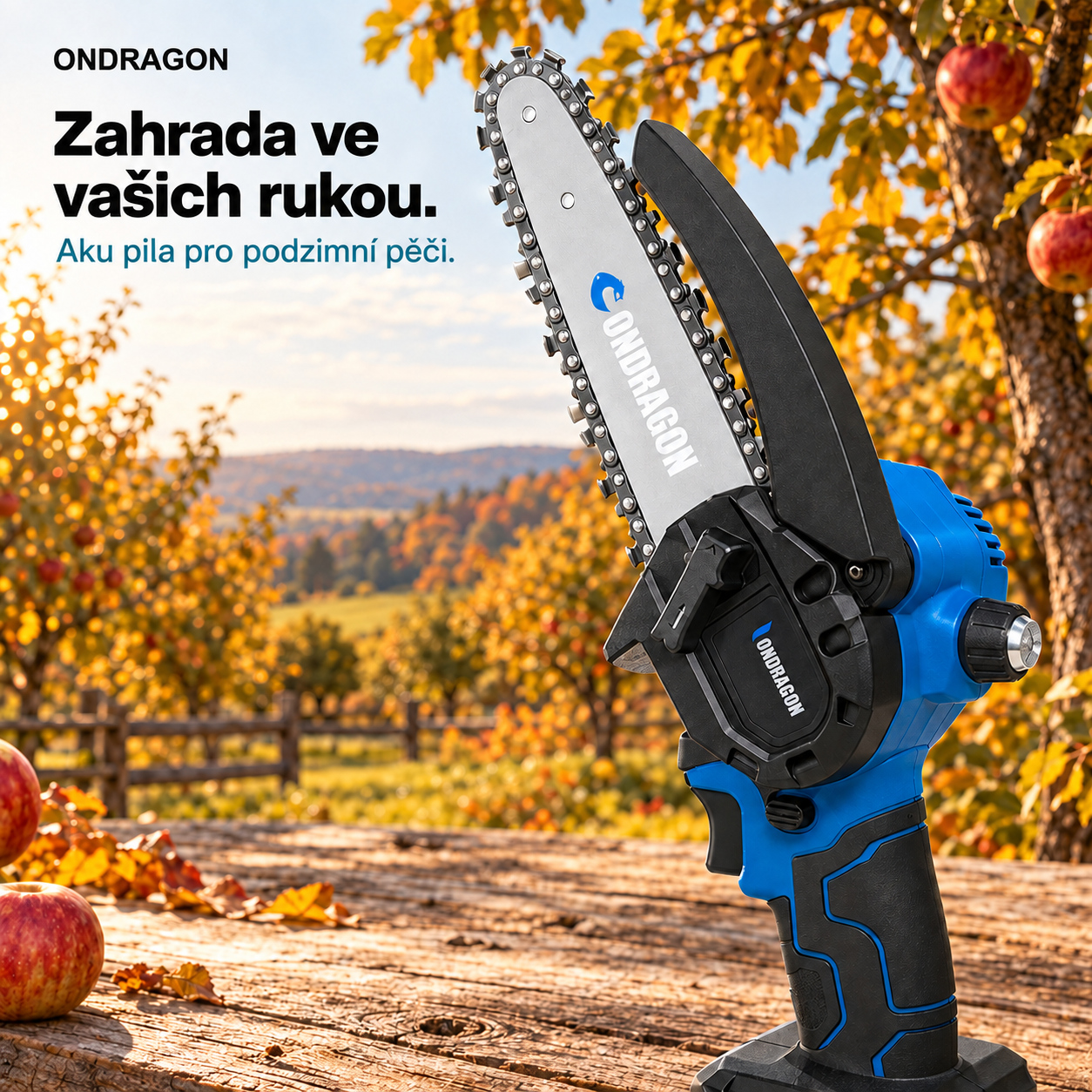 Detail lišty, řetězu a krytu aku pily ONDRAGON