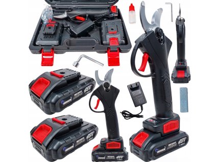 Screenshot 2025 06 11 at 15 26 16 AKUMULATOR SAET PRO GALERII GALERIE ČÍSLO PRO ŽIVOTNÍ NÁDVOŘ NABÍDKA 48V MOCNY (5906954290519) Recenze Nůžky a semináře 17668877217 Allegro