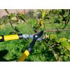 Teleskopické zahradní nůžky na větve 650–975 mm s rukojetí PP+TPR