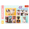 47352 5 puzzle 160 dilku psi pratelstvi trefl 15412