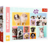47352 3 puzzle 160 dilku psi pratelstvi trefl 15412