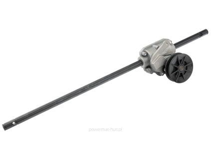 large 1
