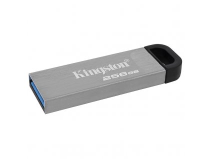 Flash USB Kingston DataTraveler Kyson 256GB USB 3.2 - stříbrný