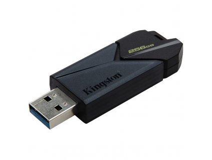 Flash USB Kingston DataTraveler Exodia Onyx 256GB USB 3.2 - černý
