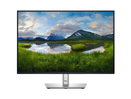 Monitor Dell Professional P2425 24.07",LED podsvícení, IPS panel, 5ms, 1500: 1, 300cd/m2, 1920 × 1200 WUXGA, - černý/stříbrný