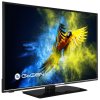 Televize GoGEN TVF 43M552 STWEB