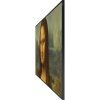 Televize Samsung QE43LS03B