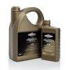 Briggs & Stratton Olej motorový B&S 5W30 Long Life 5l 100009S