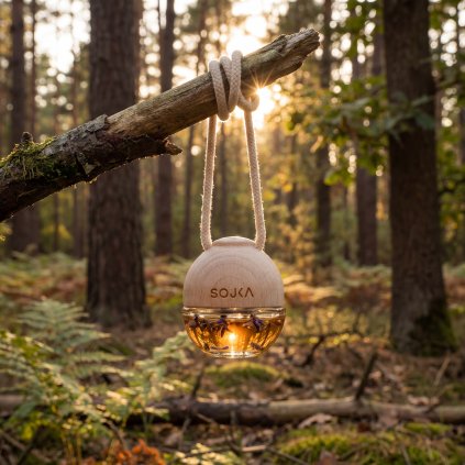 image 2026 02 24T201725.651