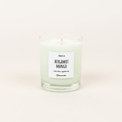 94 1 sojova svicka s bavlnenym knotem bergamot mango 140g