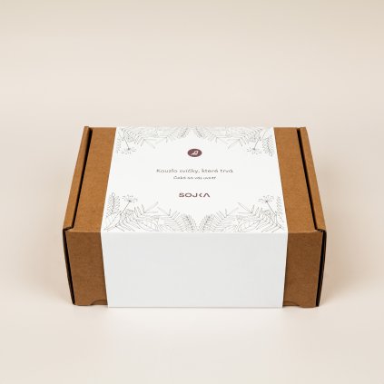 369 sojka box bily