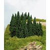 100 mladych smrku 5 14 cm heki 2190
