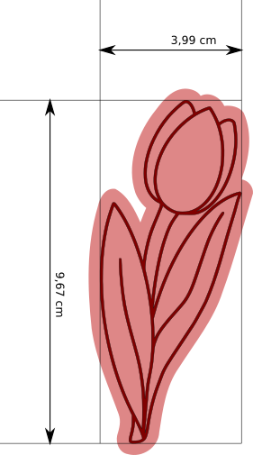 tulipan_1_o10