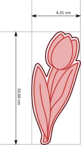 tulipan_1_v+r_10